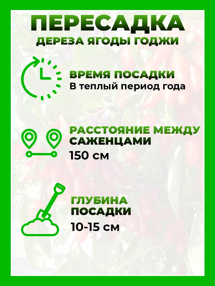 Дереза