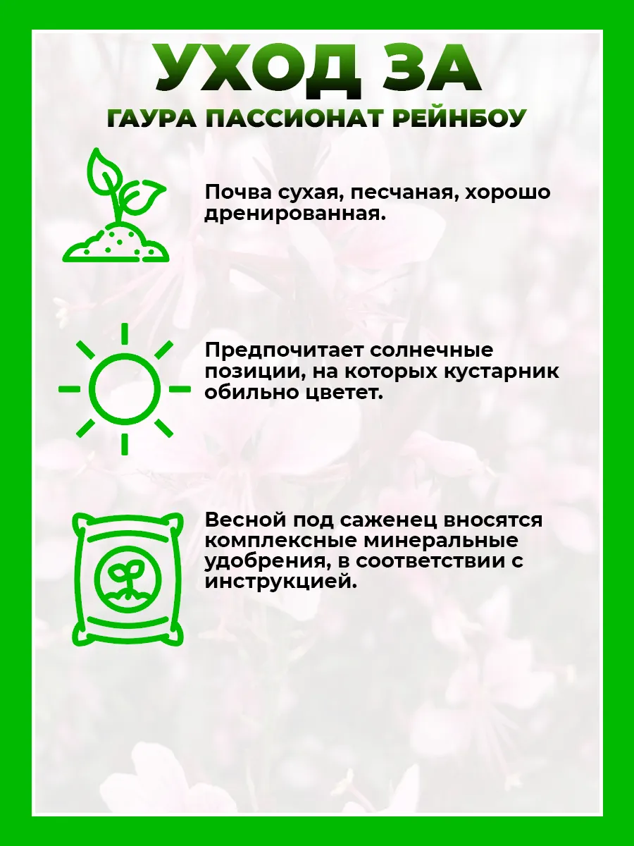 Гаура Линдхеймера Пассионат Рейнбоу