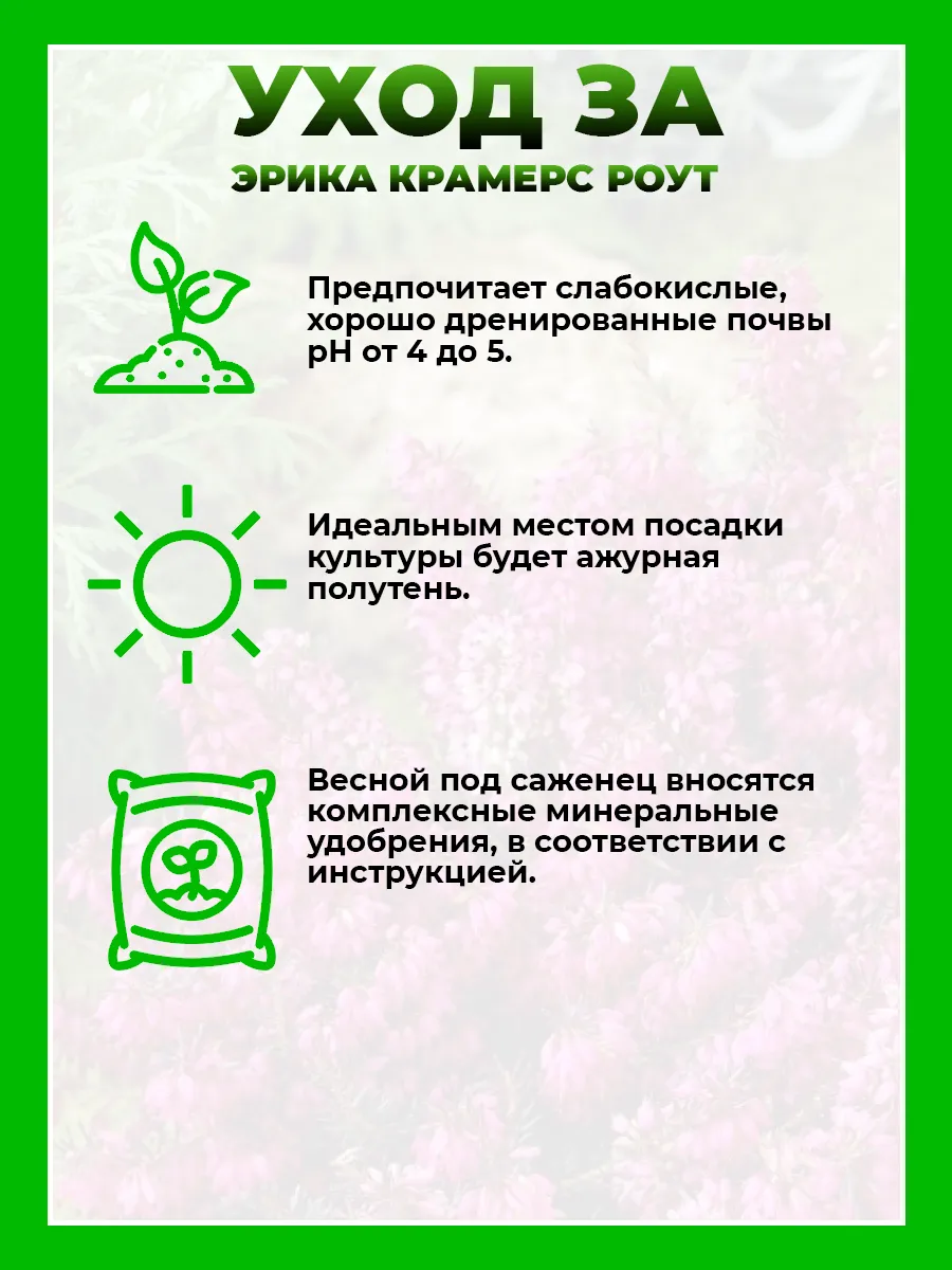 Эрика дарлейенская Крамерс Роут