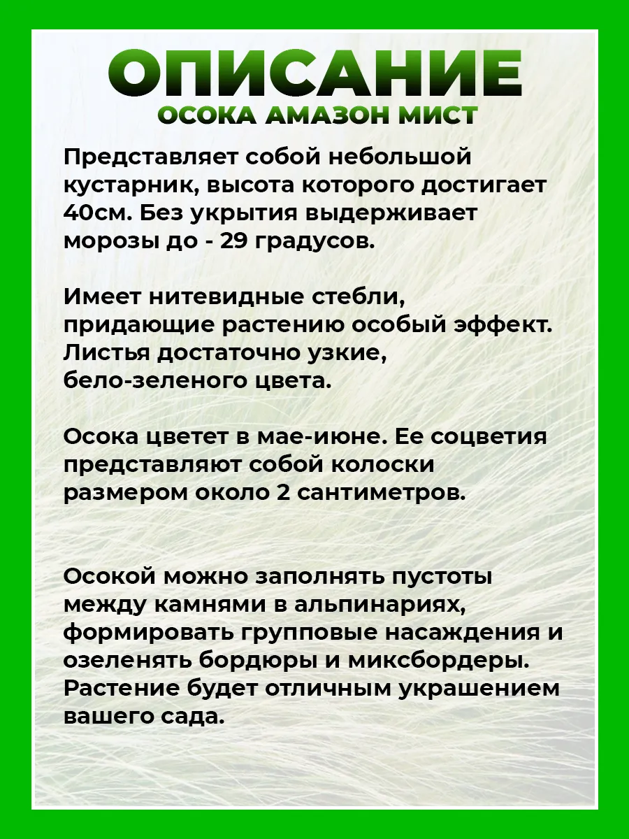 Осока власовидная Амазон Мист