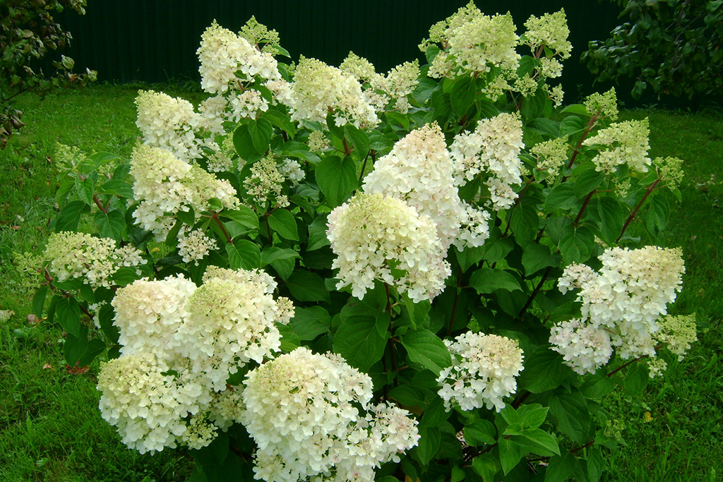 85