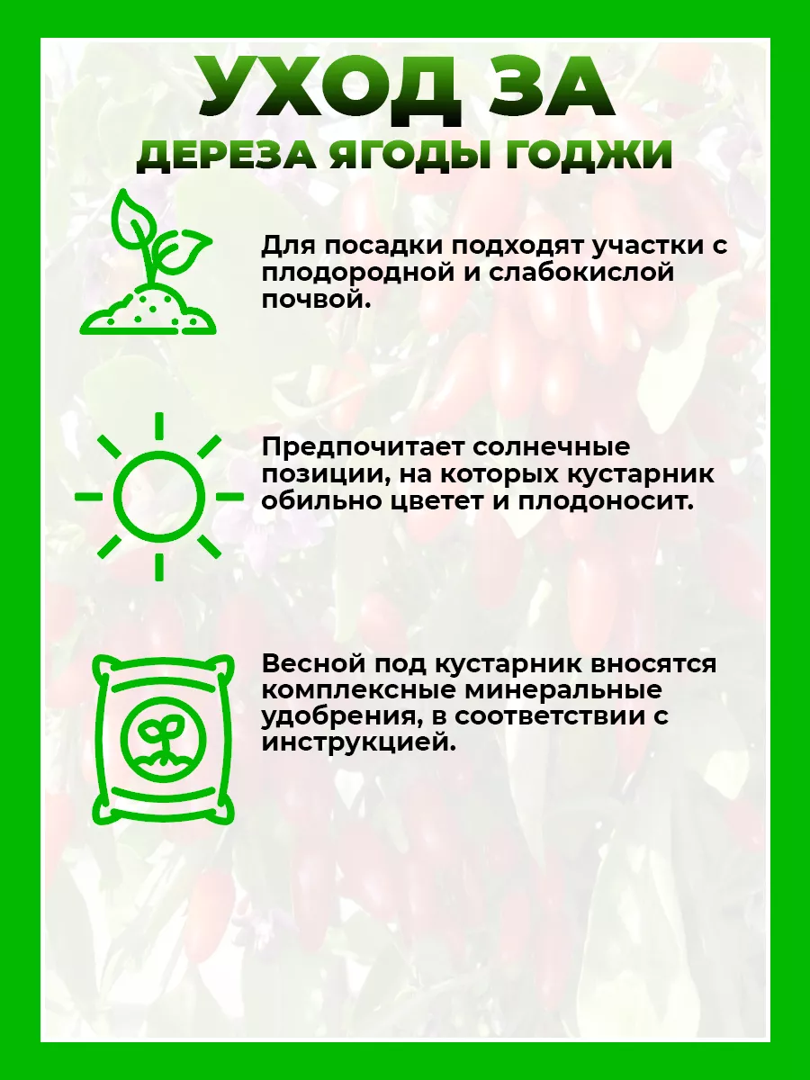 Дереза
