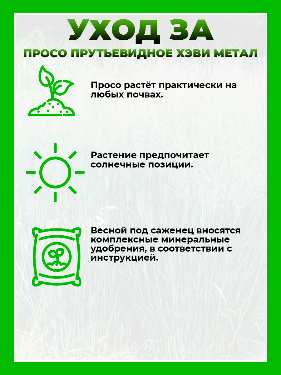 Просо прутьевидное Хэви Металл