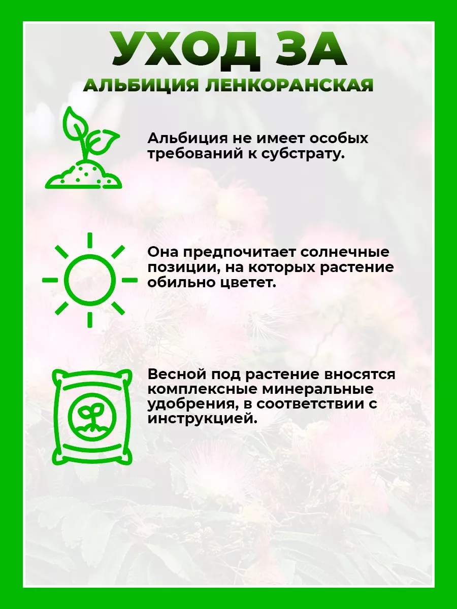 Альбиция ленкоранская