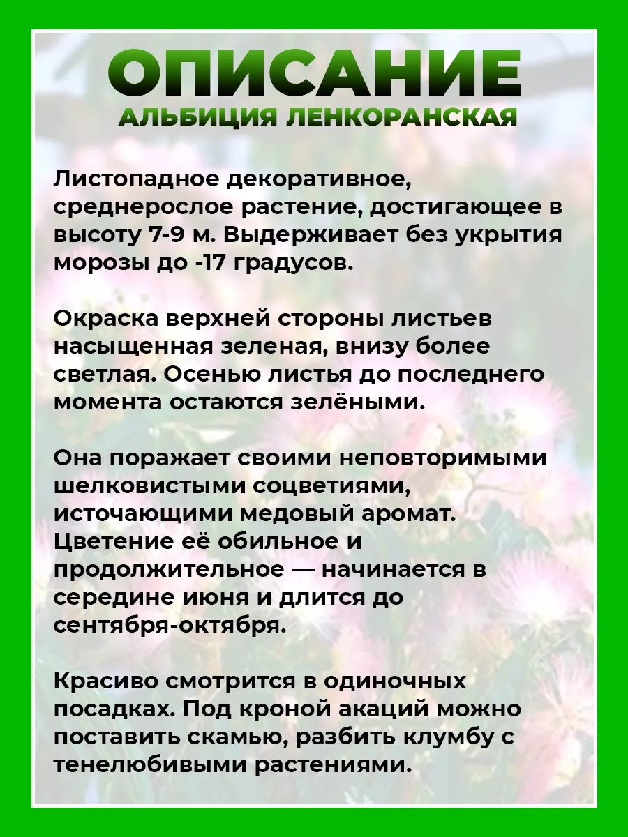 Альбиция ленкоранская