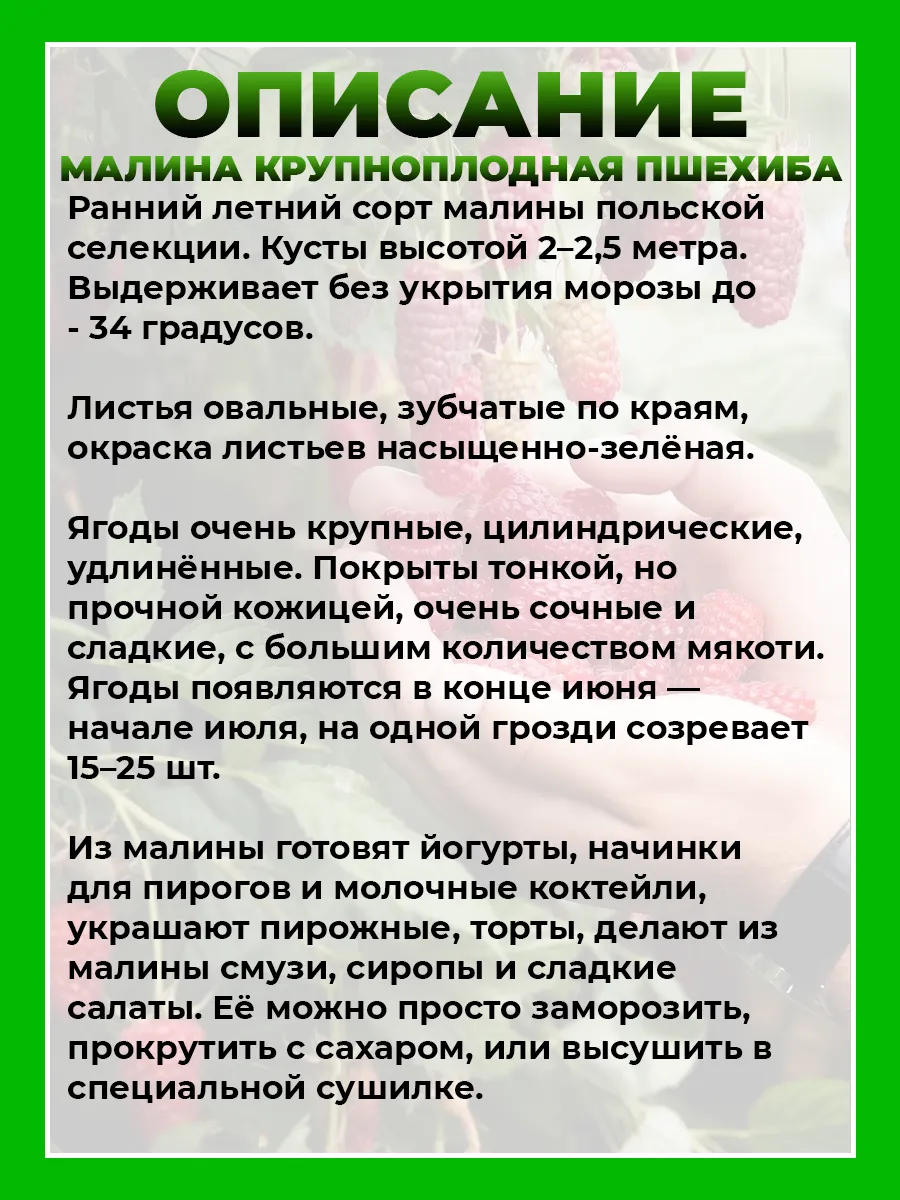 Малина Пшехиба