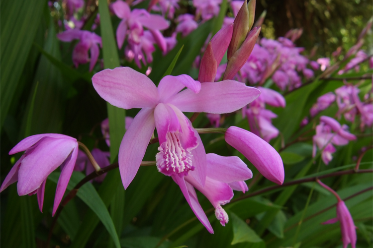 Ата және кішкентай қаншық порно