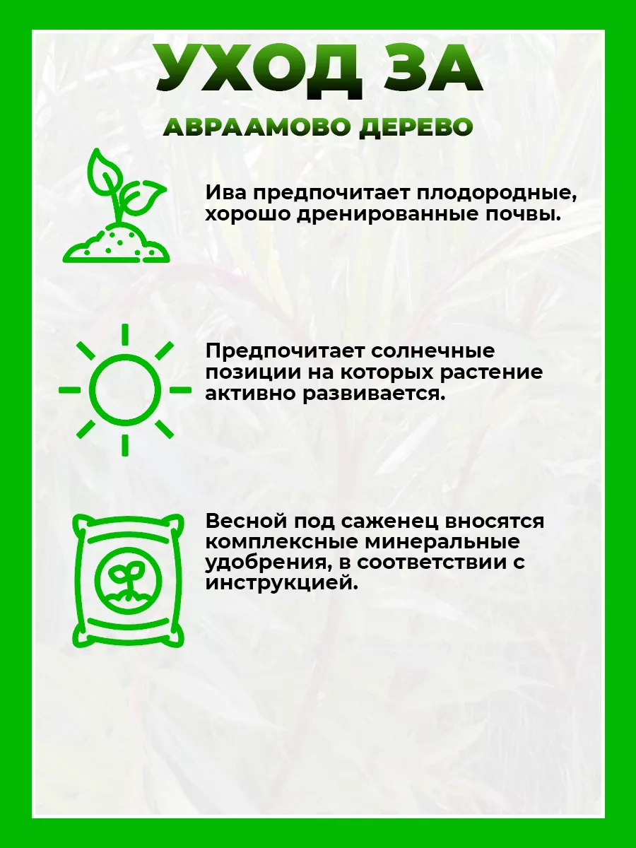 Ива Удинская Секка