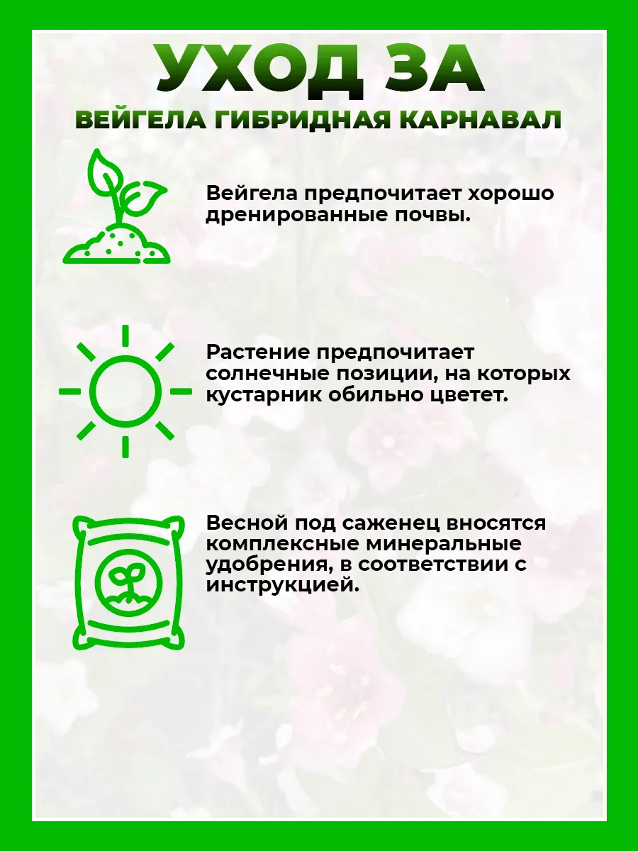 Вейгела цветущая Карнавал