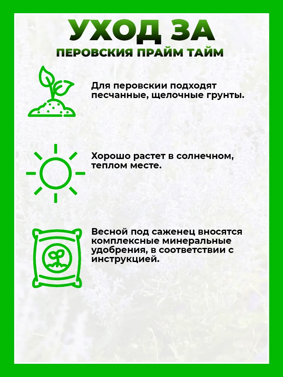 Перовския Прайм Тайм