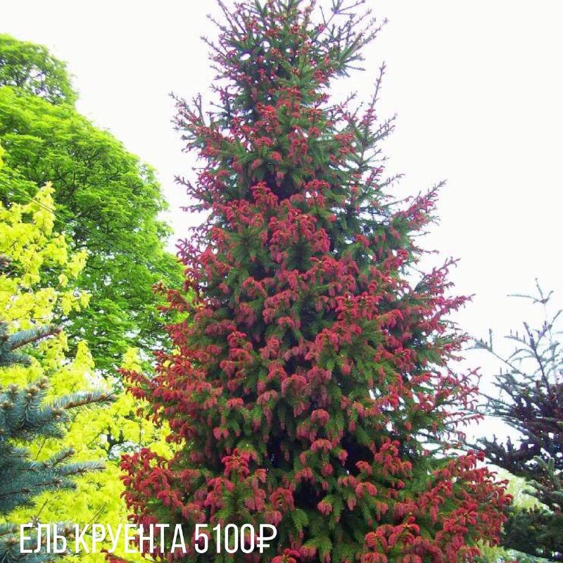 e4acff72-66d8-4223-b7a3-d917e16267d2 (1).jpg e4acff72-66d8-4223-b7a3-d917e16267d2 (1).jpg