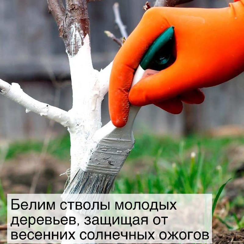 0c39dc74-0450-4427-a4db-63f08c291cd1.jpg 0c39dc74-0450-4427-a4db-63f08c291cd1.jpg
