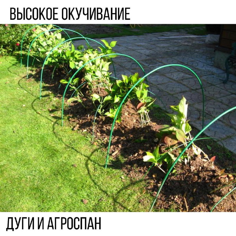 5887af24-ebab-4f42-818c-7dff59f5f610.jpg 5887af24-ebab-4f42-818c-7dff59f5f610.jpg