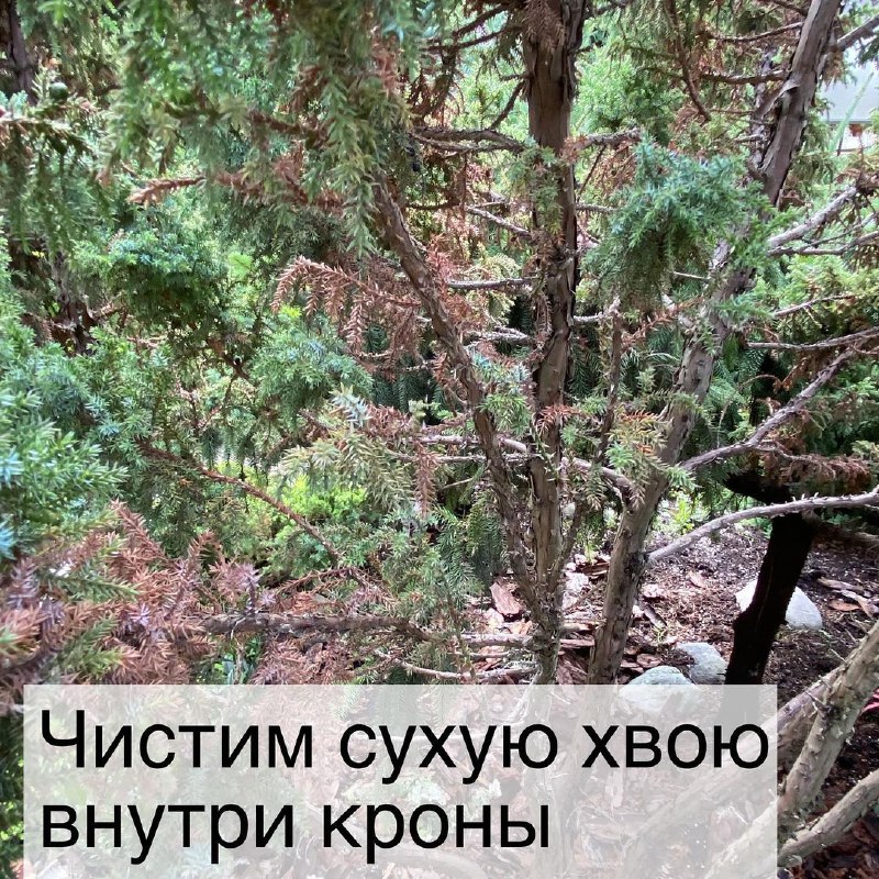 9841d433-0c7c-44f2-842b-068093ae3458.jpg 9841d433-0c7c-44f2-842b-068093ae3458.jpg