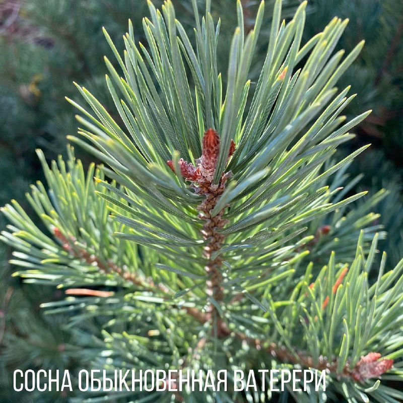 c983ea2a-56f4-49a3-a827-cc9f8c552a78.jpg c983ea2a-56f4-49a3-a827-cc9f8c552a78.jpg