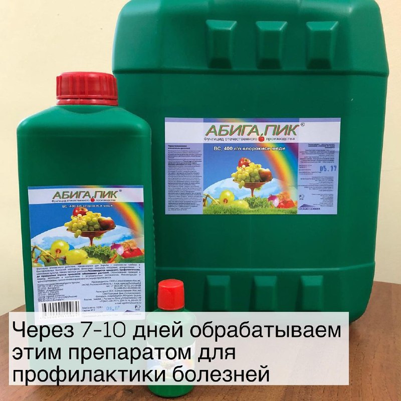 6f8817ae-22b9-48f0-9dab-8a3681b86008.jpg 6f8817ae-22b9-48f0-9dab-8a3681b86008.jpg