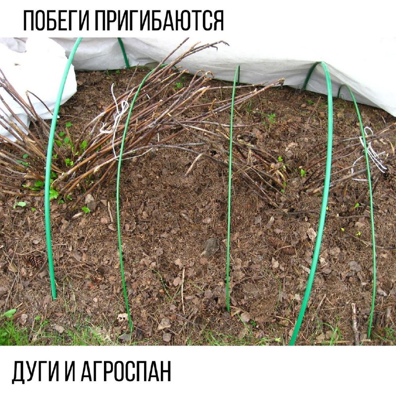 2b343fd9-b5d2-4dbf-941e-d2c9dfa460cf.jpg 2b343fd9-b5d2-4dbf-941e-d2c9dfa460cf.jpg