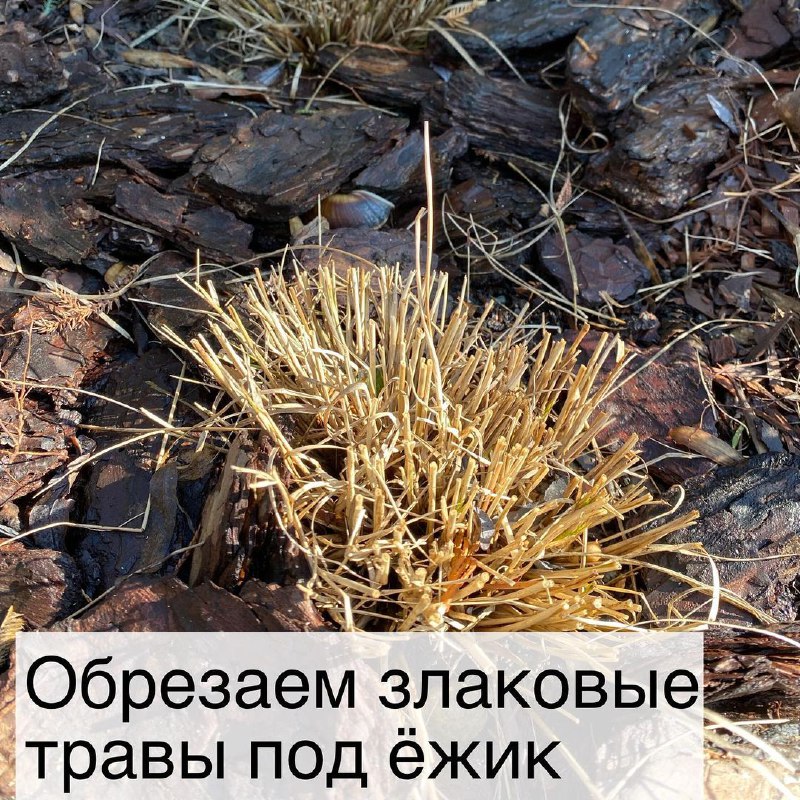 3fb9e2d1-6e88-4243-ab82-02f276f4bbf8.jpg 3fb9e2d1-6e88-4243-ab82-02f276f4bbf8.jpg