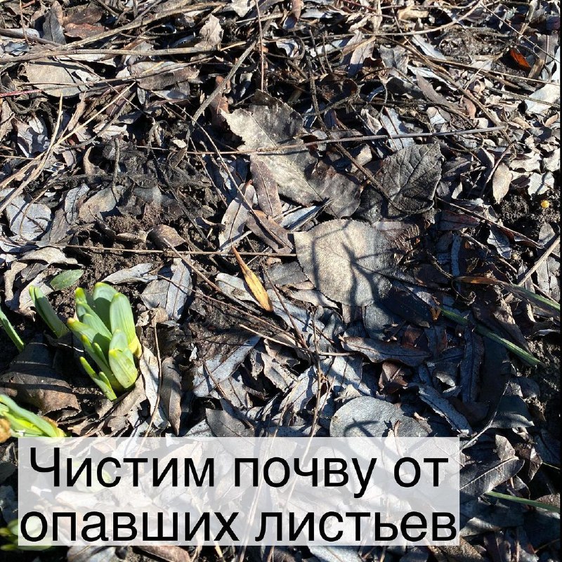 6f23d976-ada5-43b7-8137-6974455b2ea0.jpg 6f23d976-ada5-43b7-8137-6974455b2ea0.jpg