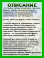 Гортензия метельчатая Милк энд Хани