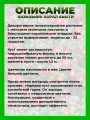 Кизильник гибридный Корал Бьюти