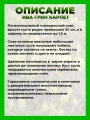 Ива ползучая Грин Карпет