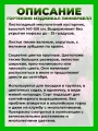 Гортензия древовидная Мэджикал Пинкербелл