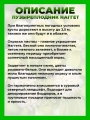 Пузыреплодник калинолистный Наггет