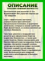 Тростник южный Вариегатус