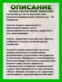 Осока петри Милк Чоколэйт