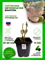 Гортензия метельчатая Фантом