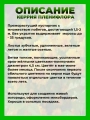 Керрия японская Пленифлора