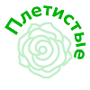 Плетистые