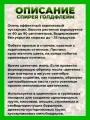 Спирея японская Голдфлэйм