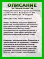 Гортензия метельчатая Полестар