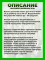 Шалфей дубравный Шнеехюгель