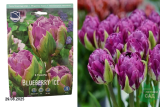 Тюльпан Блюберри Айс (Tulipa Blueberry Ice) 5шт/уп