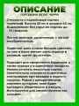 Гортензия метельчатая Петит Черри