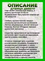 Душица обыкновенная Дьябло