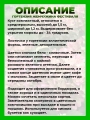 Гортензия метельчатая Жемчужина Фестиваля