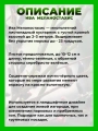 Ива тонкостолбиковая Меланостахис
