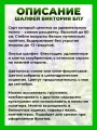 Шалфей мучнистый Виктория Блу