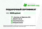 Сертификат 3000 (интернет-магазин)