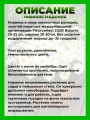 Нивяник Мадонна