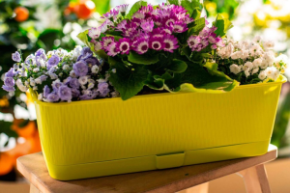 Балконный ящик 40 см Прованс фисташковый 6 л