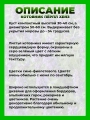 Котовник фассена Пёрпл Хейз