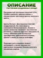 Гортензия метельчатая Мэджикал Кэндл