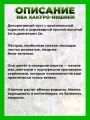 Ива цельнолистная Хакуро-Нишики