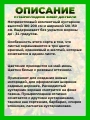 Пузыреплодник калинолистный Эмбер Джубили