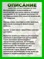 Живучка ползучая Дикси Чип